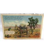 Curt Teich Comic Linen Postcard 4AH925 Ten Ft From Hell Bless Our Desert... - $56.09 MXN