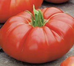 Tomato Beefsteak Vegetable Seeds - £7.06 GBP