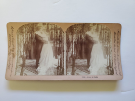 Stereoview Card Real Photo Alone At Last Keystone View Company 10483 c1901 - £7.79 GBP