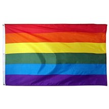 Custom-91Flag Gay Lesbian Rainbow Human Rights 3x5 3ft x 5ft Foot Flag House Ban - £3.83 GBP