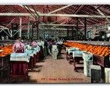 Orange Packing Warehouse in California CA UNP Unused DB Postcard W3 - £3.15 GBP
