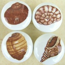 Seashell Cabinet Knobs W/ @Pretty@ SEA SHELL #5 (4) - £13.66 GBP