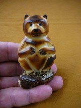(TN-BEAR-600) Brown grizzly BEAR TAGUA NUT Figurine carving Vegetable bears - $28.04