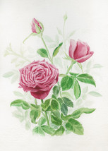 Three Red Roses, A. Rose Designs note card - £5.49 GBP+