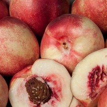 New Fresh white nectarine seed - £17.93 GBP