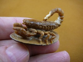(tb-scorp-3) little tan scorpion Tagua NUT palm figurine Bali carving Sc... - $49.08