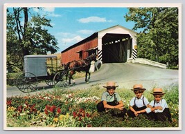 Covered Bridge And Amish Boys With Horse Carriage In Amish Country Postcard - £11.15 GBP