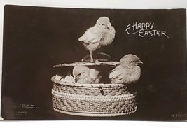 RPPC Happy Easter CUTE CHICKS by the Rotograph  Co 1907 Fayette IA Postcard F11 - £9.55 GBP