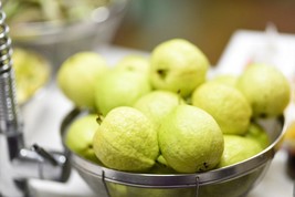 Lemon Guava {Psidium guajava} Tropical Edible 20+ seeds - £3.95 GBP