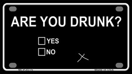 Are You Drunk Novelty Mini Metal License Plate Tag - £11.92 GBP