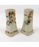 Vintage Noritake Porcelain Watercolor Floral Salt Pepper Shaker Set Dining - £21.80 GBP