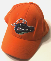 $12 Florida Gators Mad Albert Orange Stitch NCAA Hat Cap Stretch Fit One Size - £6.84 GBP