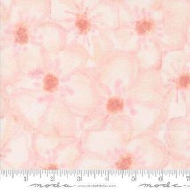 Moda Blooming Lovely Petal 16978 12 Quilt Fabric Bty By Janet Clare. - £8.69 GBP