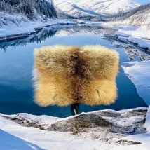 Brother Vellies Fur Clutch Handbag Purse - $247.49