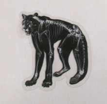 Cougar X-Ray Transparent Sticker 2.38&quot; x 2.18&quot; (AR) - $1.64