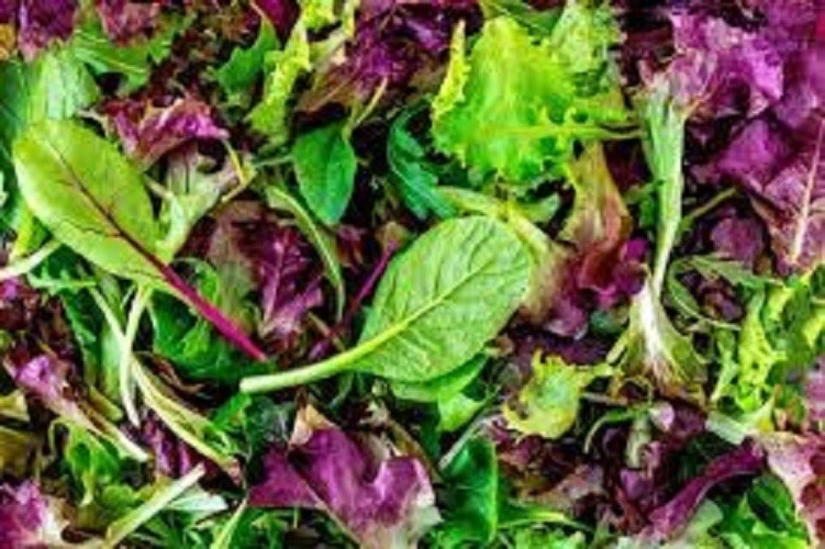 Vibrant Premium Gourmet Mesclun Leaf Lettuce Mix Fresh Organic Heirloom ... - $3.14