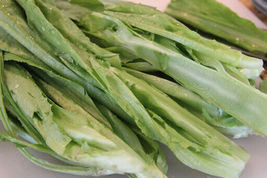 400 Seeds A Choy Chinese Leaf Lettuce Sword Pointed From USA - £7.47 GBP
