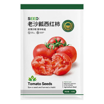 Jingyan® Traditional Pulp Pink Tomato 100 Seeds FRESH SEEDS - £6.38 GBP