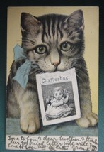 1905 antique CAT holds CHATTERBOX BOOK PAGE postcard to HERBERT FULLER b... - £32.89 GBP