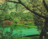 Azaleas Blooming Fish Hatchery Pond Mobile Alabama AL 1965 Chrome Postcard - $2.92