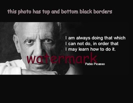 Artist Pablo Picasso &quot;I Am Always Doing That Which I ...&quot; Quote Publicity Photo - £7.74 GBP