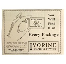 Ivorine Washing Powder 1894 Advertisement Victorian Soap Williams Co ADB... - $19.99
