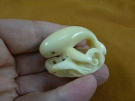 (tb-whal-29) baby Beluga Whale Tagua NUT palm figurine Bali carving love... - $39.26