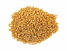 Indian Premium Whole Yellow Mustard Seed, Peeli Sarson, FREE SHIP - £9.99 GBP+
