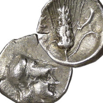 ATHENA Corinthian Helmeted head/Grain Ear, Metapontum Greek Silver diobol Coin - $331.55