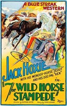 The Wild Horse Stampede - 1926 - Movie Poster - £26.37 GBP