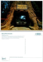 California Redwood Trees Chandelier Drive-Thru Tree Monument VTG Postcard - $9.40