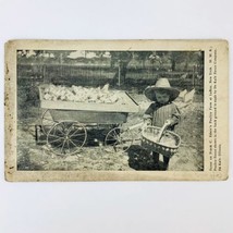 1910 Postcard LeRoy NY Frank C Edson&#39;s Poulrty Farm Little Girl Basket o... - £9.65 GBP