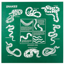 Printed Image Snakes Bandanna 22&quot; x 22&quot; GREEN Camping Survival Outdoors Info - £8.42 GBP