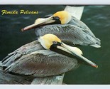 Flying Suitcases Florida Pelicans FL Chrome Postcard M7 - £2.29 GBP