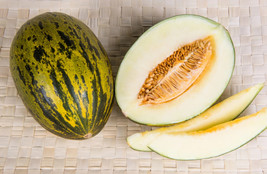 50 Piel De Sapo Melon Santa Claus Christmas Melon Green Cucumis Melo Fruit Seeds - £6.60 GBP