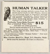1920 Print Ad Human Talker Baby Parrots Mexico Max Geisler Birds Omaha,Nebraska - £6.36 GBP