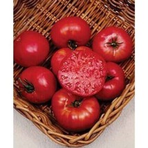 Tomato Mortgage Lifter Great Heirloom Vegetable 200 Seeds Fresh Garden USA SELLE - $14.38