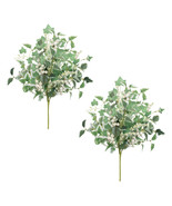 Mixed Ivy Foliage Berry Bush (Set of 2) - $1,154.09 MXN