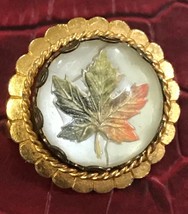 SO Pretty Cool Vintage 50&#39;s Maple Leaf Intaglio Crystal Gold Tone Brooch - £27.82 GBP
