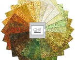 5&quot; Charm Pack - Batiks Autumn Skies Complete Collection Cotton Fabric M5... - $14.97