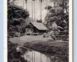 Botanical Garden Rio De Janeiro Brazil UNP Unused WB Postcard M2 - $2.92