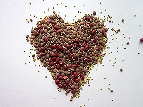 COOL BEANS n SPROUTS" Brand, Love your heart Mix seeds for sprouting microgreen