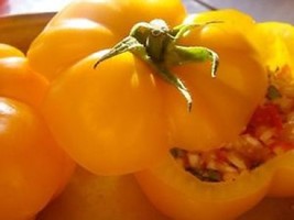 HeirloomSupplySuccess 10 Heirloom Yellow BeefSteak Tomato Seeds - £2.35 GBP