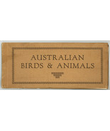 Australian Birds & Animals vintage guide book sepia prints 1920 30 - €12,05 EUR Australian Birds & Animals vintage guide book sepia prints 1920 30 - €12,05 EUR