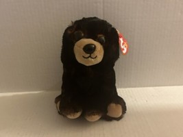 Ty Beanie Babies Kodi 6&quot; Black Brown Bear, Big Gold Eyes - £9.16 GBP