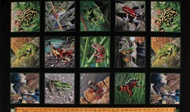23.5&quot; X 44&quot; Panel Amazing Frogs Animals Fabric Panel D368.45 - £17.57 GBP