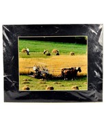 Family Working On Amish Farm, Matted Photography Print, Wade Wilcox, Vin... - $33.92 CAD