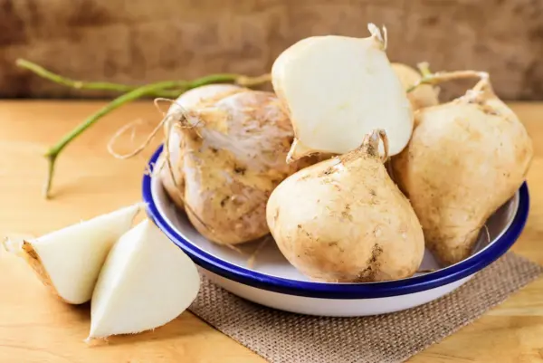 20 Jicama Mexican Yam Potato Bean Pachyrhizus Erosus Legume Root Vegetable Seeds - £7.04 GBP