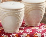Pioneer Woman Stoneware Farmhouse Lace Embossed Off White Salt &amp; Pepper ... - $22.44