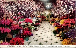 San Francisco California(CA) Podesta &amp; Baldocchi Flowers Vintage Postcard - £7.34 GBP